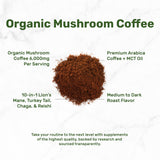 Close-up of DEAL SUPPLEMENT Organic Mushroom Coffee Blend scoop