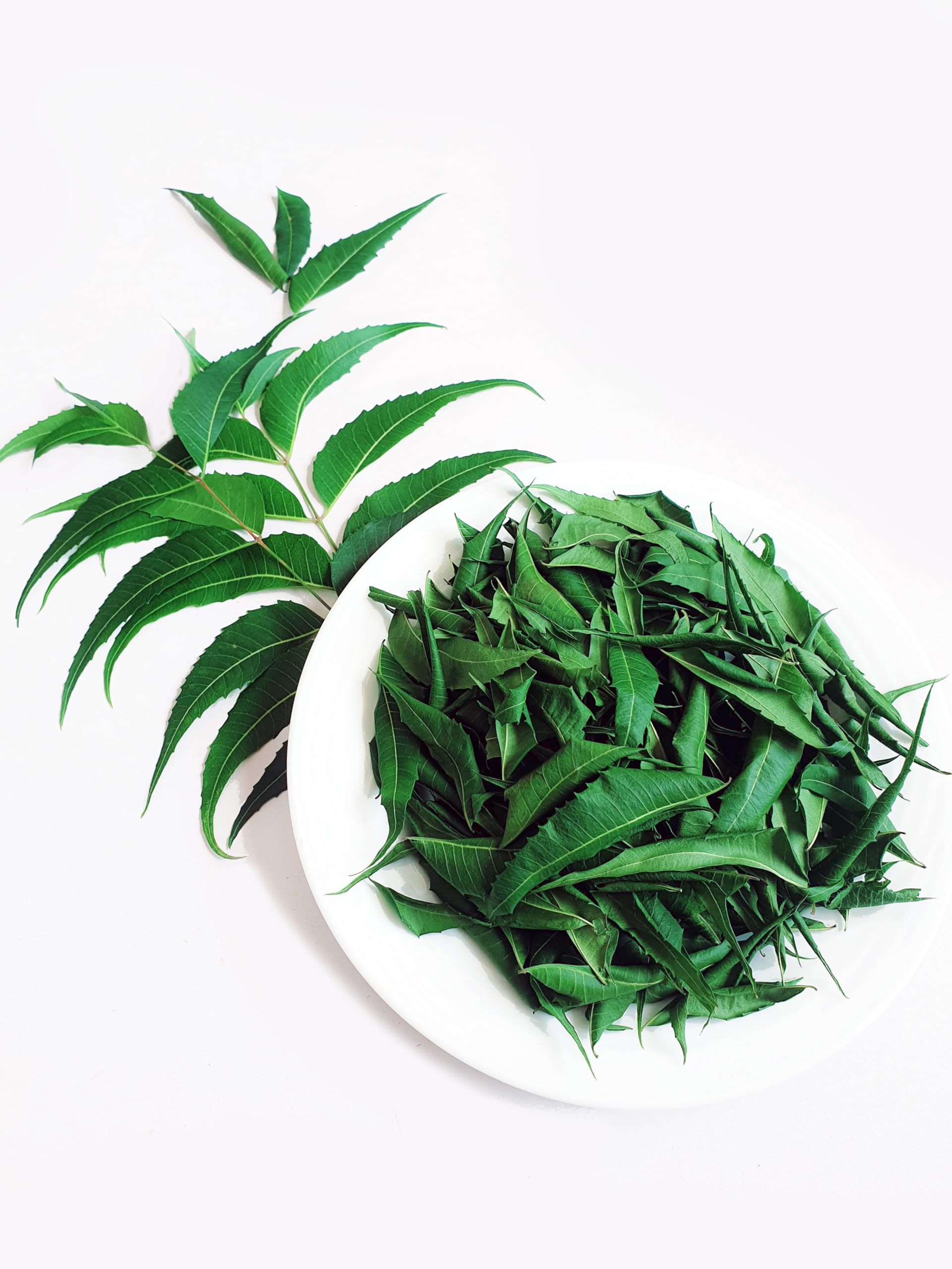 Close-up of dried neem leaves in a bowl
