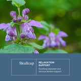 Close-up of ECLECTIC INSTITUTE Skullcap Capsules showing ingredients
