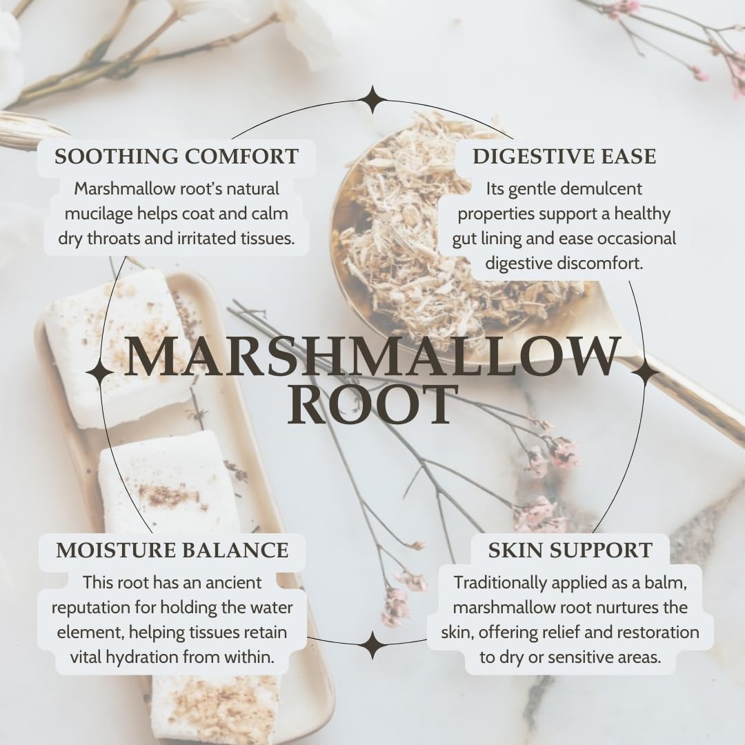 Close-up of Elanen Naturals Marshmallow Root Tea
