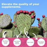 Close-up of Eleva Nutrition Nopal Cactus Capsules