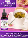Close-up of ELP ESSENTIAL Valerian Root Extract dropper