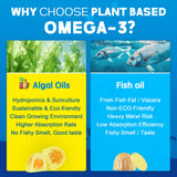 Close-up of EnvyCure Vegan Omega-3 Algae Oil Gummies
