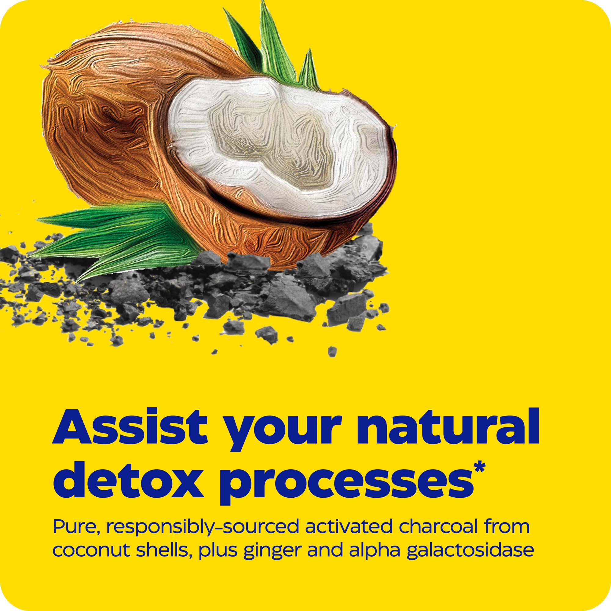 Close-up of Enzymedica Activated Charcoal Capsules showing the capsule