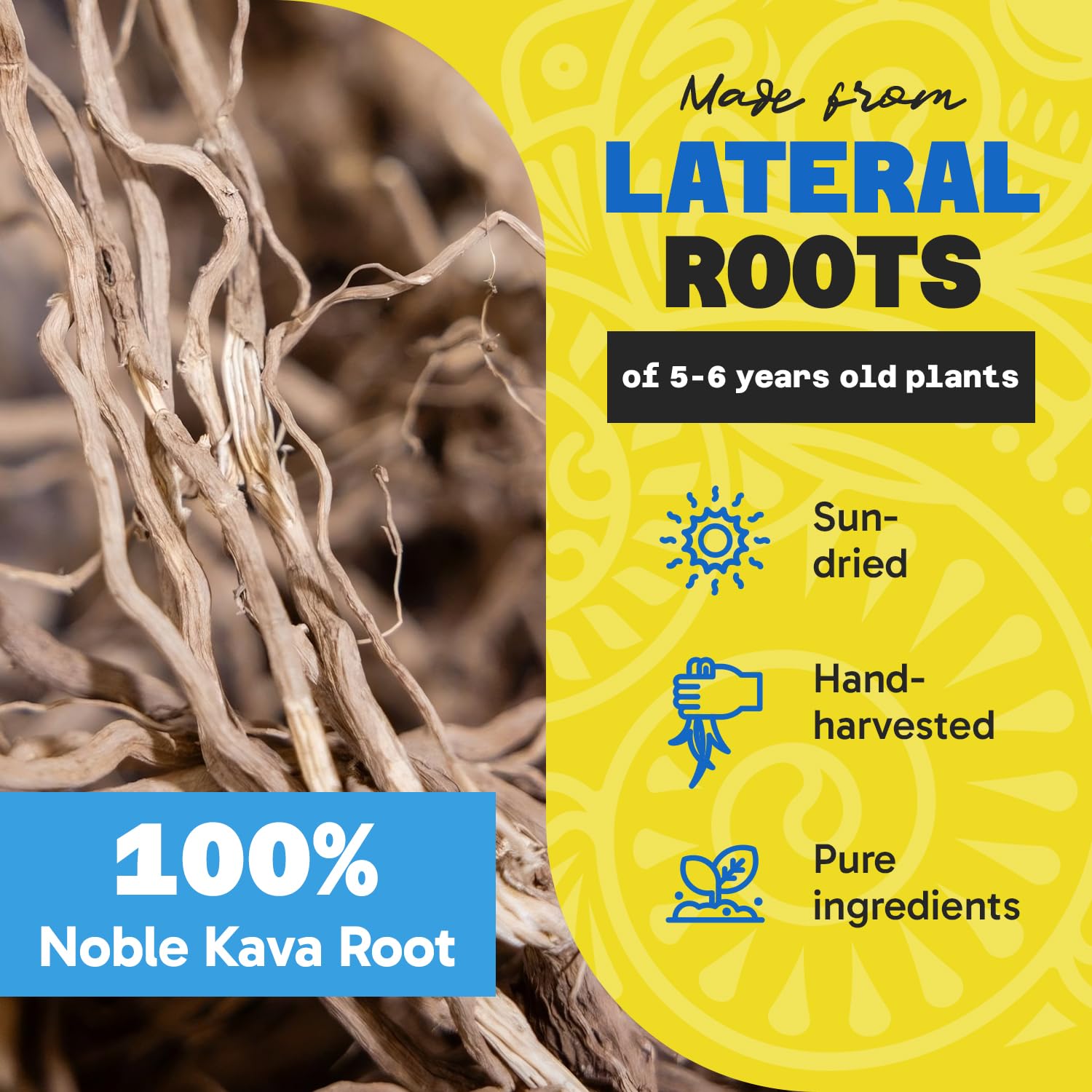 Close-up of Fiji Vanua Kava powder texture