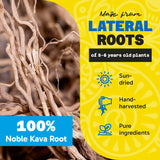 Close-up of Fiji Vanua Kava powder texture