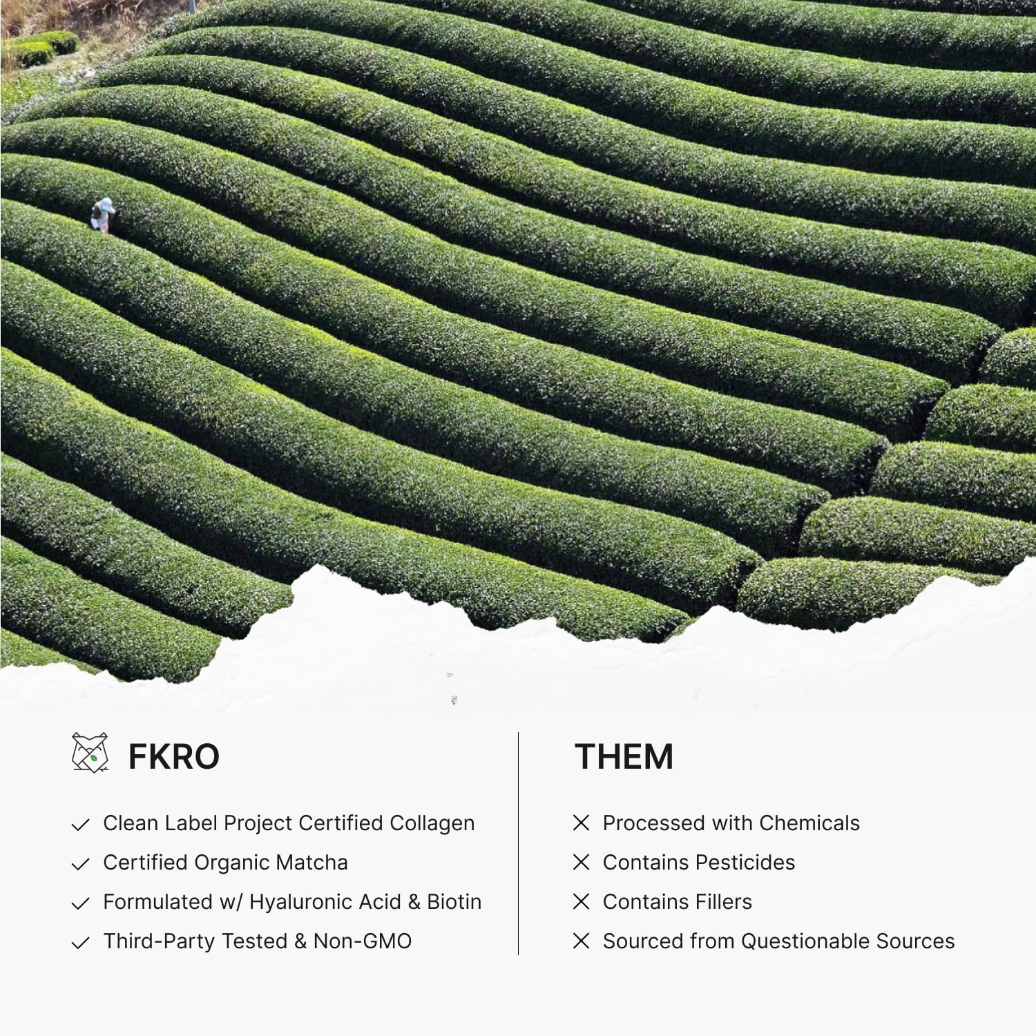 Close-up of FKRO Matcha Collagen powder