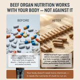 Close-up of FORGEMEN Organ Complex Liver Extract Capsules