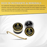 Close-up of FOUZEE Pure Himalayan Shilajit texture