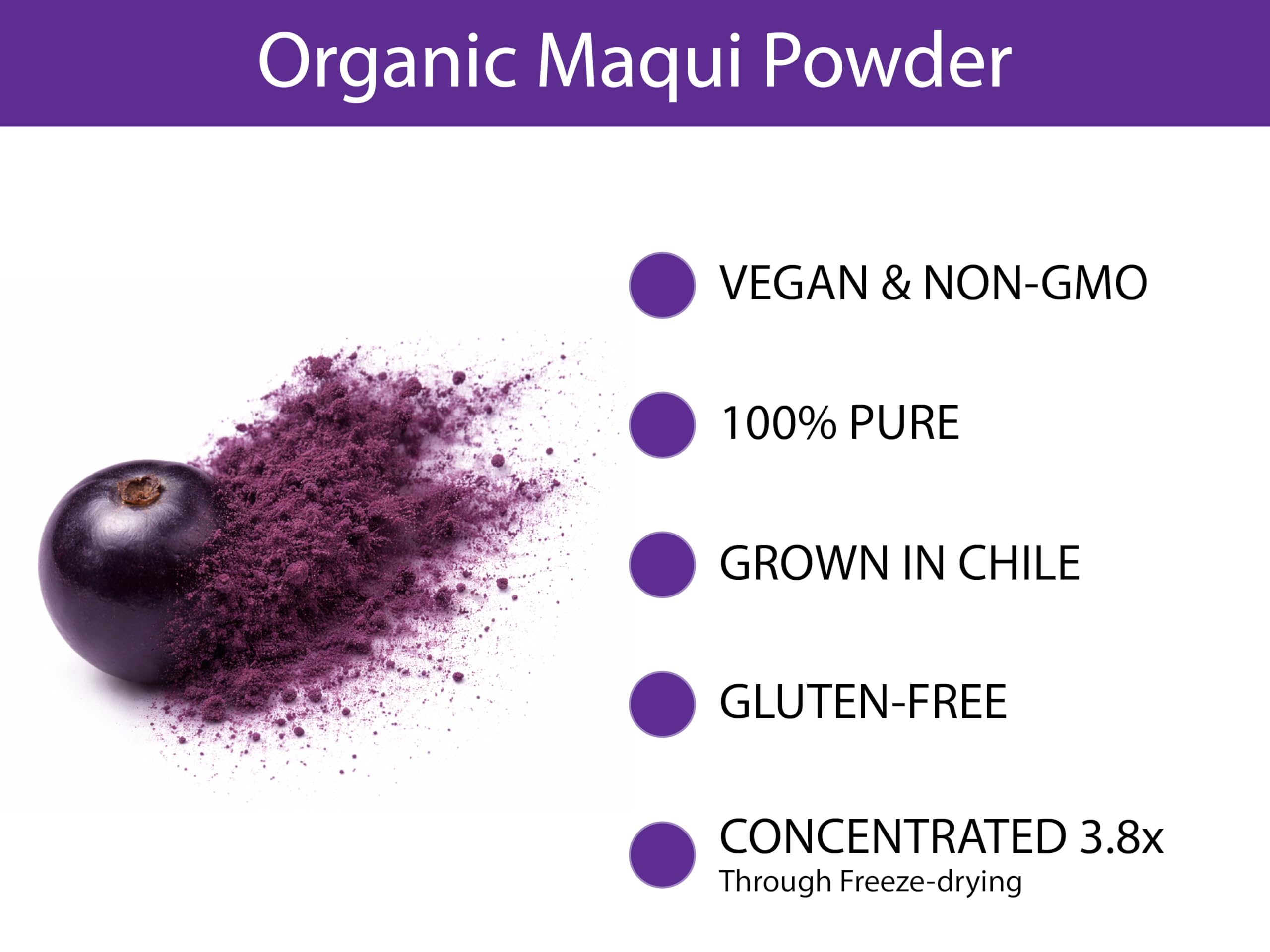 Close-up of freeze-dried Organic Maqui Berry Powder