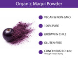 Close-up of freeze-dried Organic Maqui Berry Powder