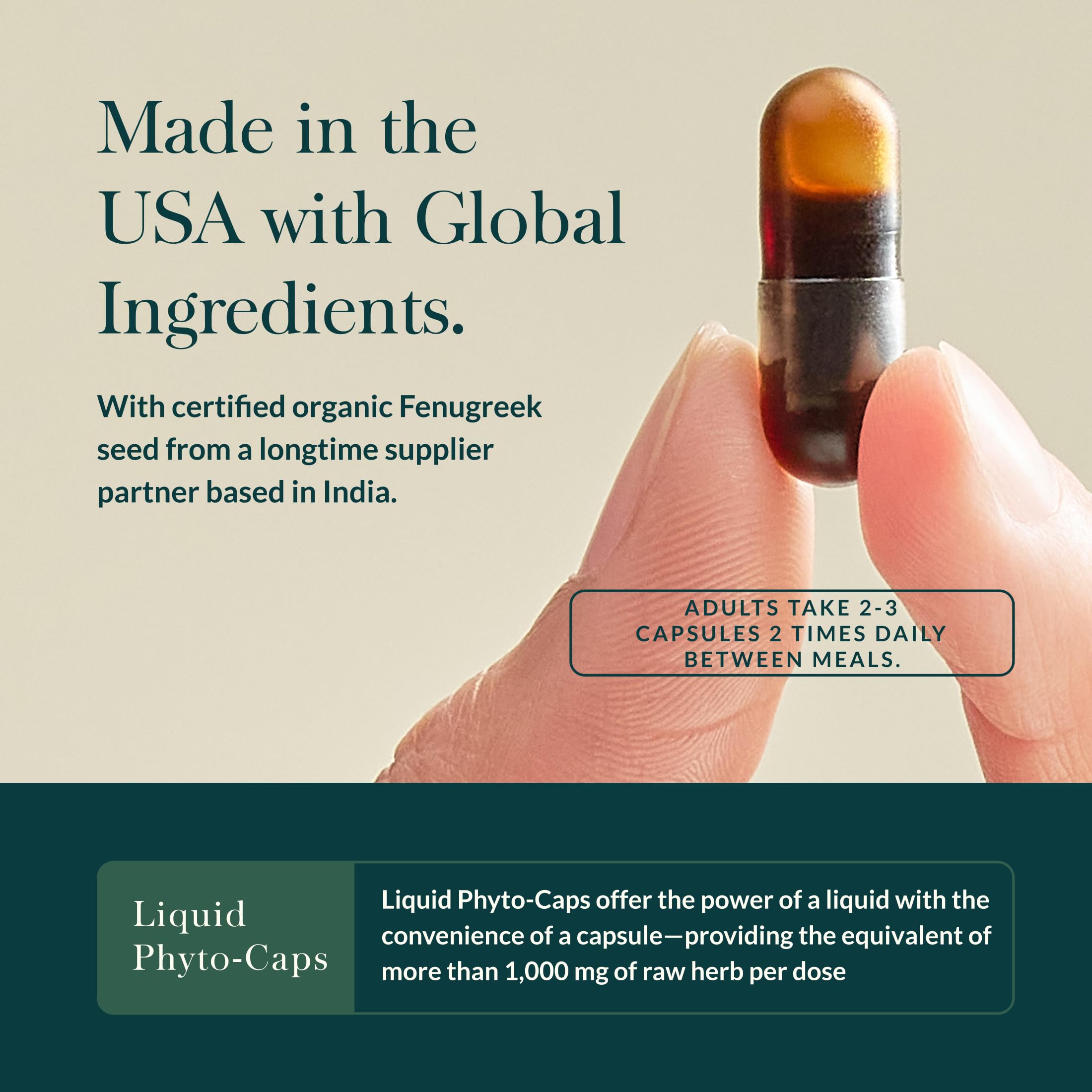Close-up of Gaia Herbs Fenugreek Seed capsules