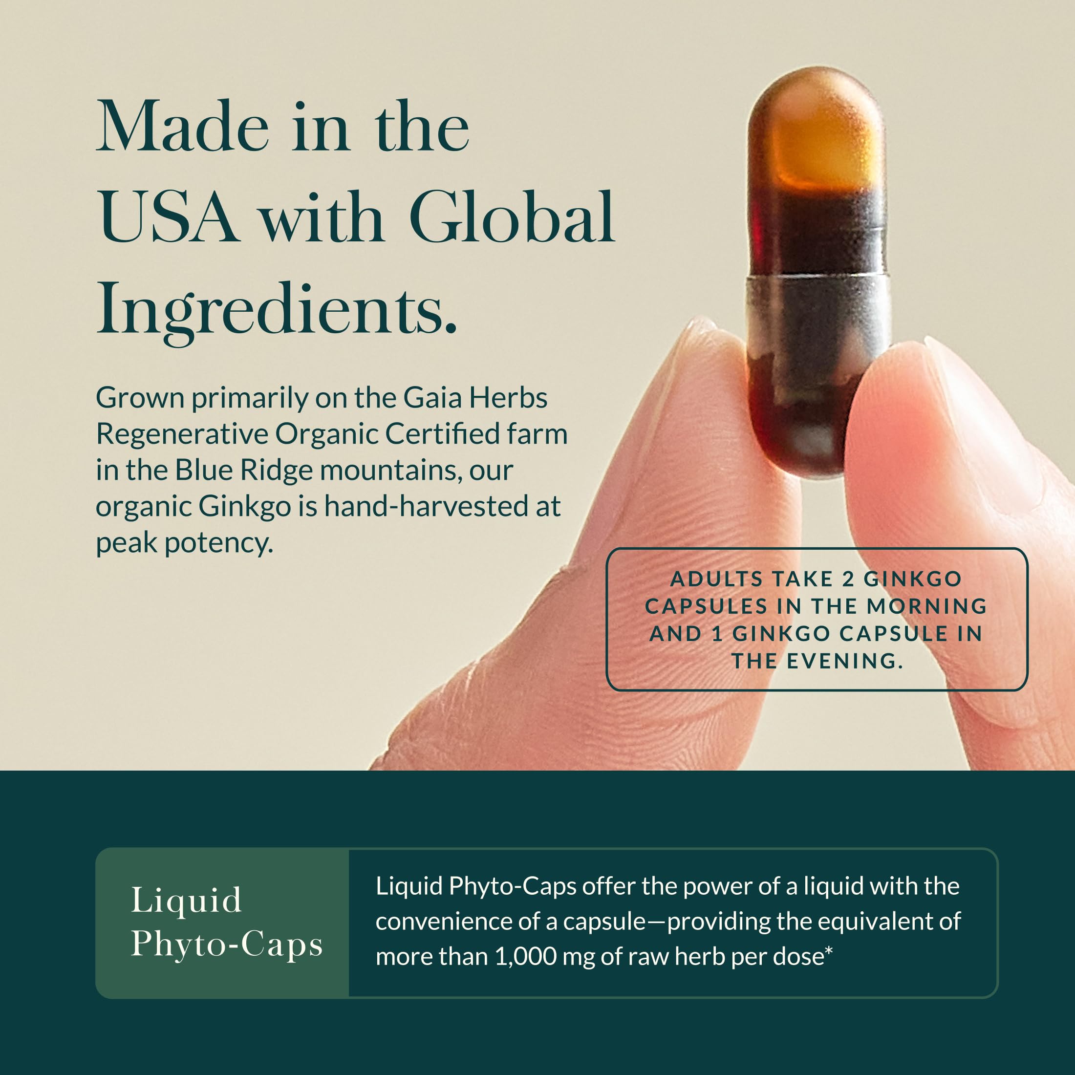 Close-up of Gaia Herbs Ginkgo Biloba Capsules