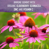 Close-up of Garden of Life Elderberry Gummies showing gummies