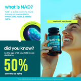 Close-up of Green Tea Supplement capsule showing ingredients