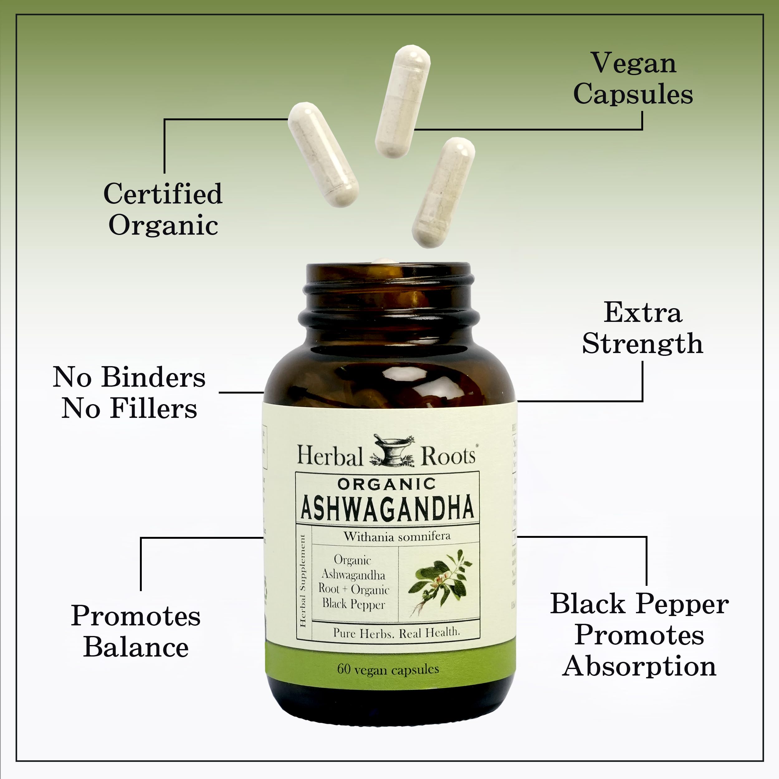 Close-up of Herbal Roots Ashwagandha capsules