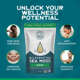 Close-up of Herbal Vineyards Organic Wildcrafted Gold Raw Sea Moss in a bowl