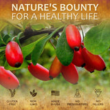 Close-up of HERBALICIOUS Berberine Capsules