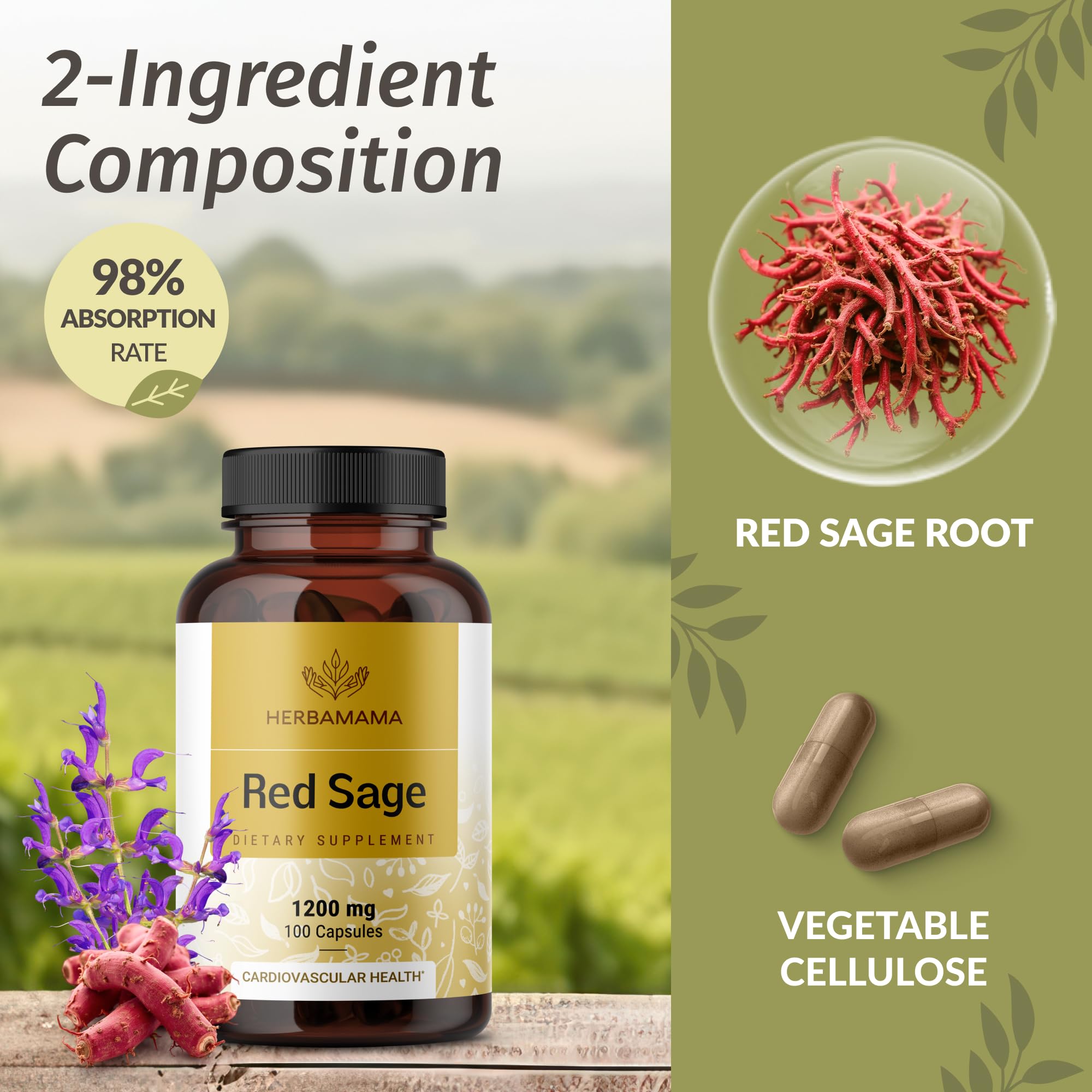 Close-up of HERBAMAMA Dan Shen Red Sage capsules