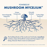 Close-up of Host Defense MycoBenefits Sleep Mushroom capsules