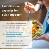 Close-up of Igennus Multi-Enzyme Supplement capsules