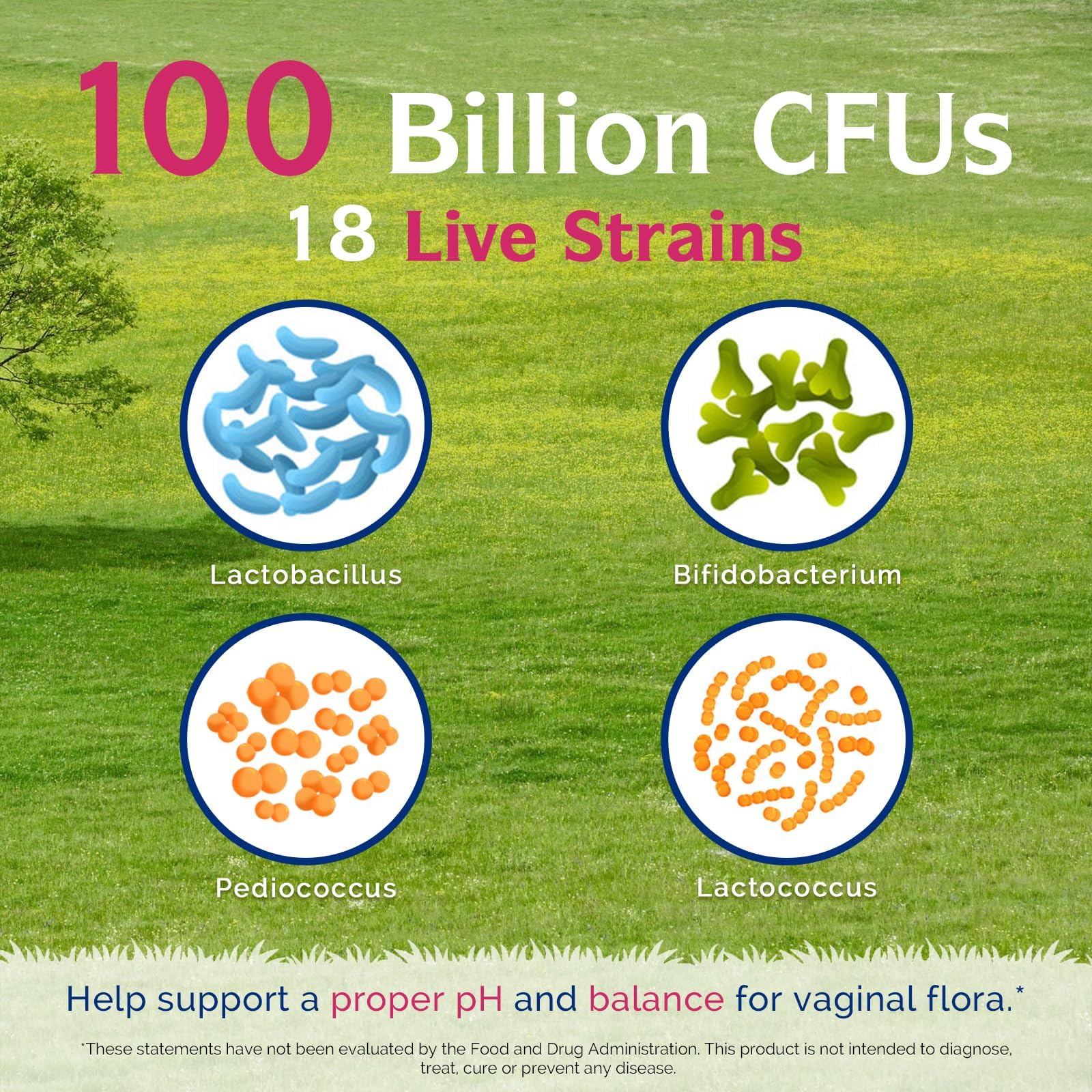 Close-up of Innate Vitality Probiotics capsules