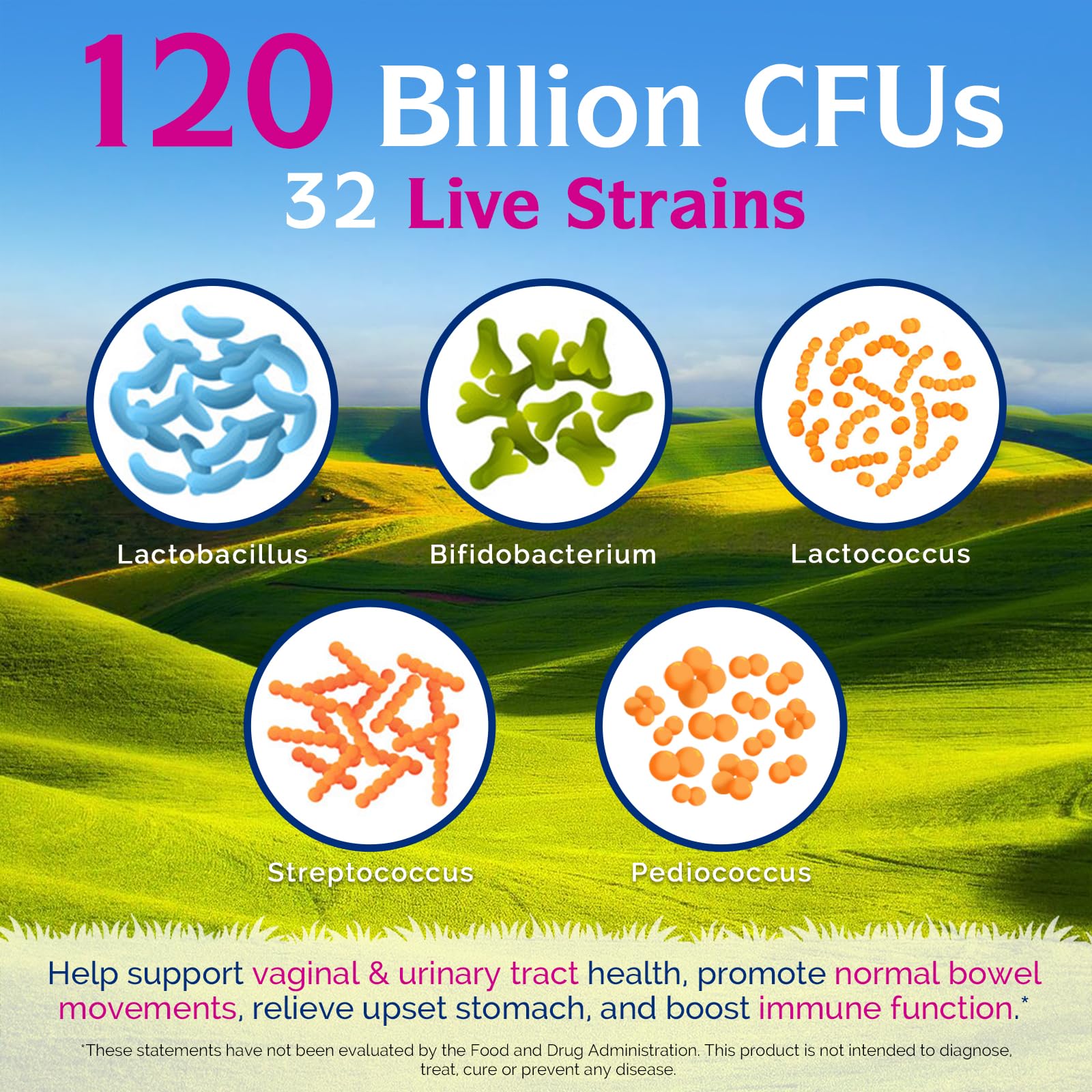 Close-up of Innate Vitality Women's Once-Daily Probiotics capsules