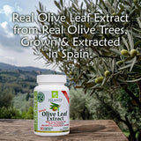 Close-up of Island Nutrition Olive Leaf Extract capsules