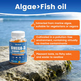 Close-up of Jabsah Vegan Omega-3 Algae Gummies