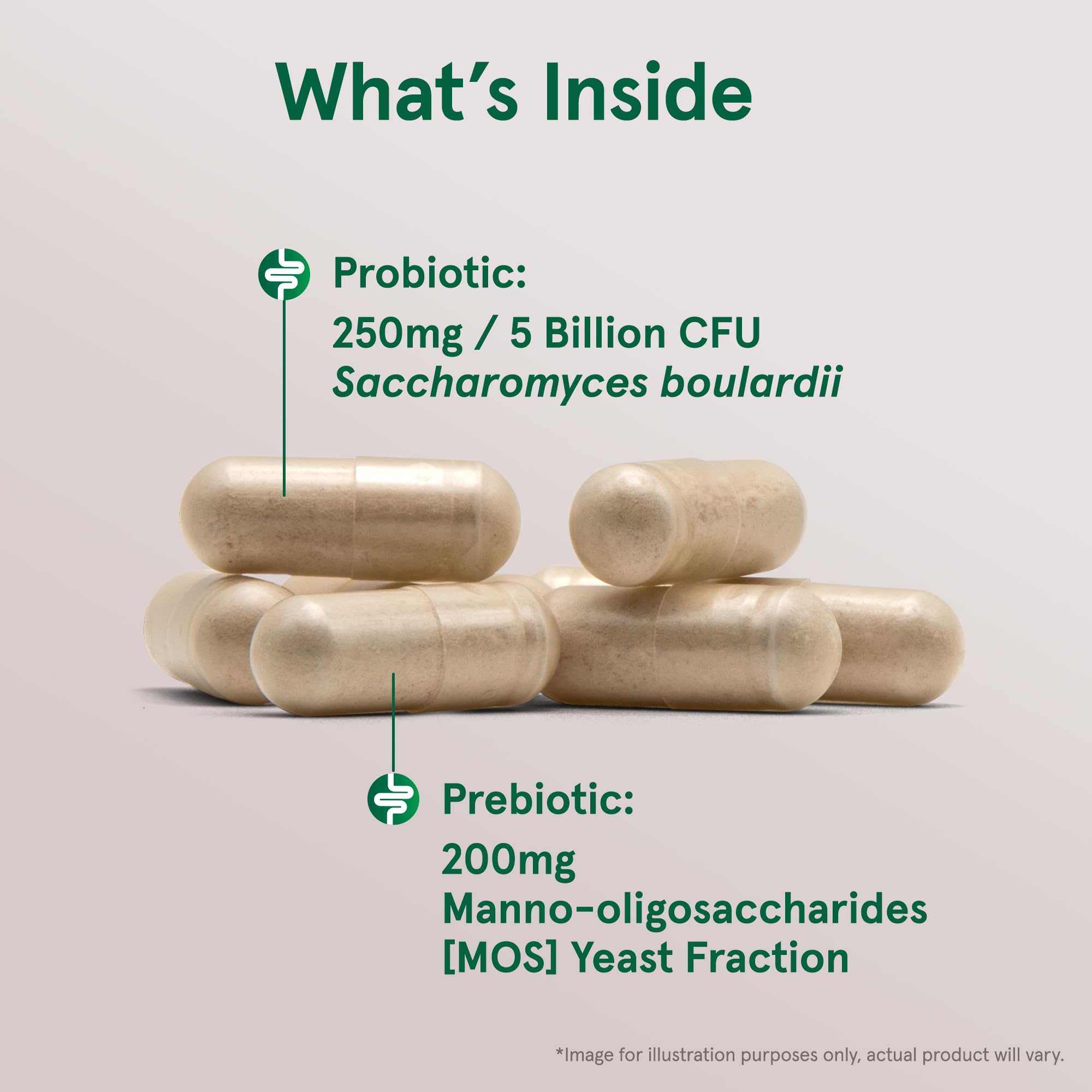 Close-up of Jarrow Formulas Saccharomyces Boulardii + MOS veggie capsule
