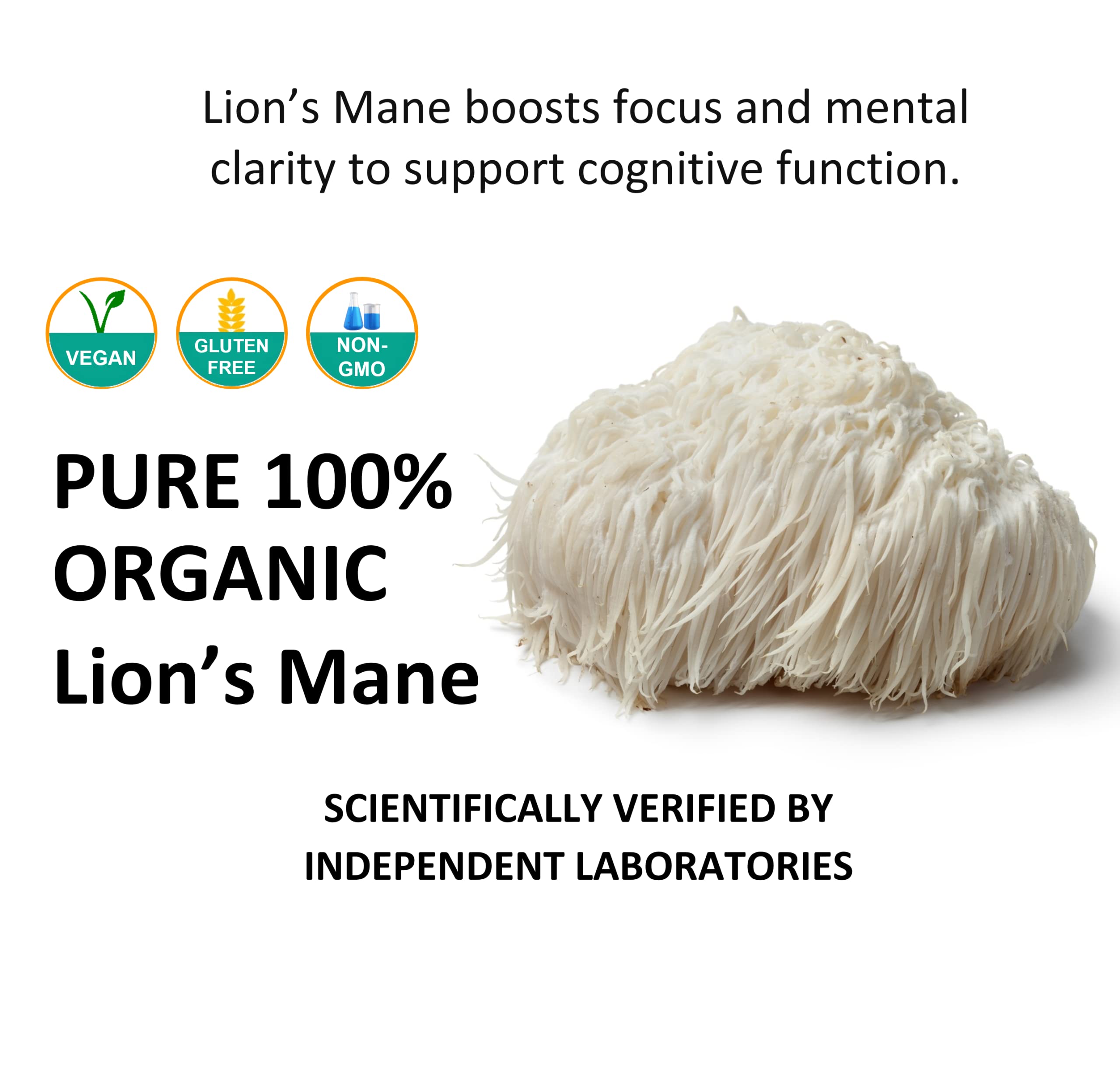 Close-up of Jetsu Lion's Mane Mushroom Extract Powder 227g fine powder