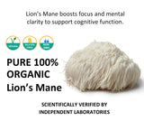Close-up of Jetsu Lion's Mane Mushroom Extract Powder 227g fine powder