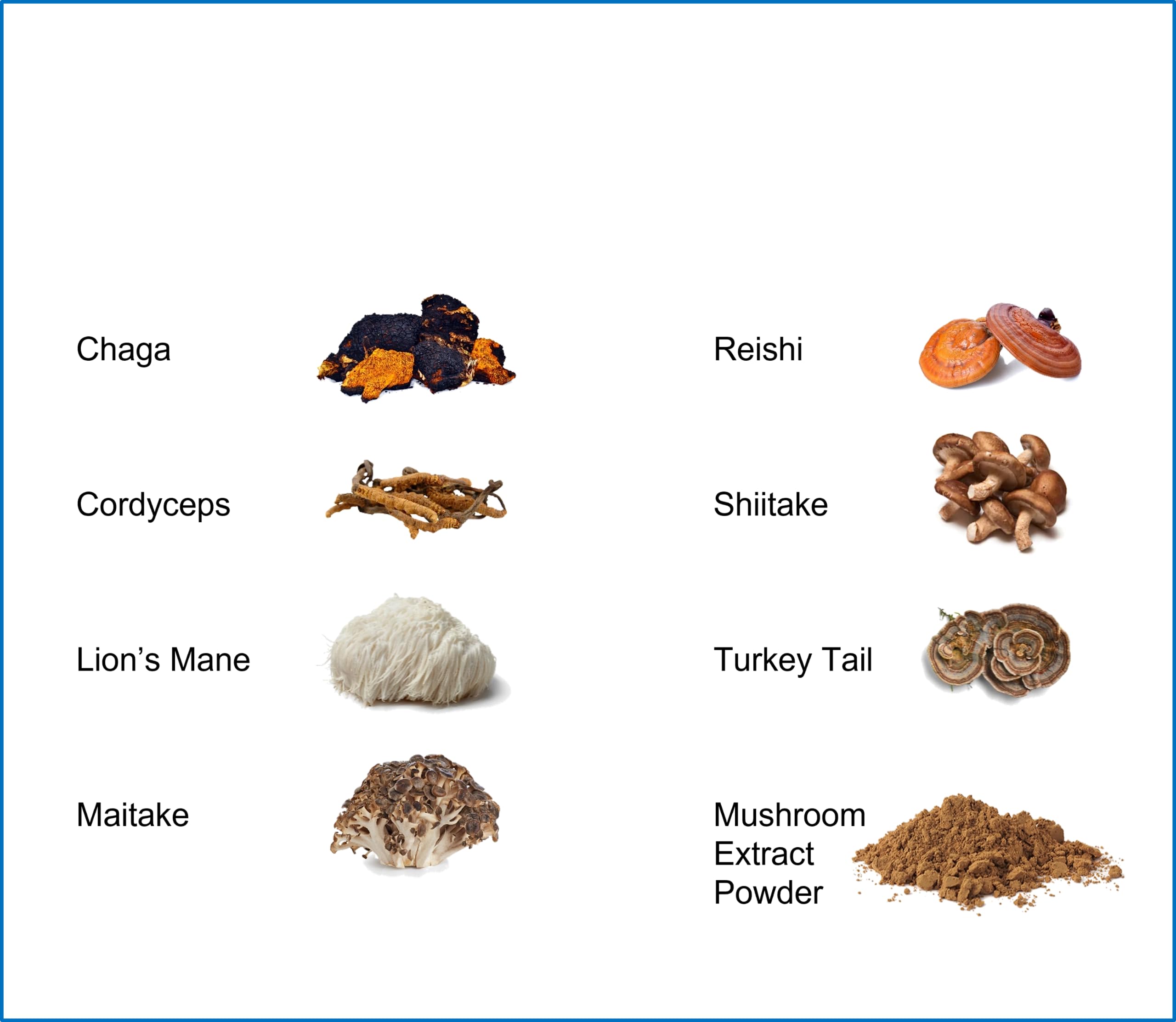 Close-up of Jetsu Pure 7 Mushroom Complex powder