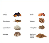 Close-up of Jetsu Pure 7 Mushroom Complex powder