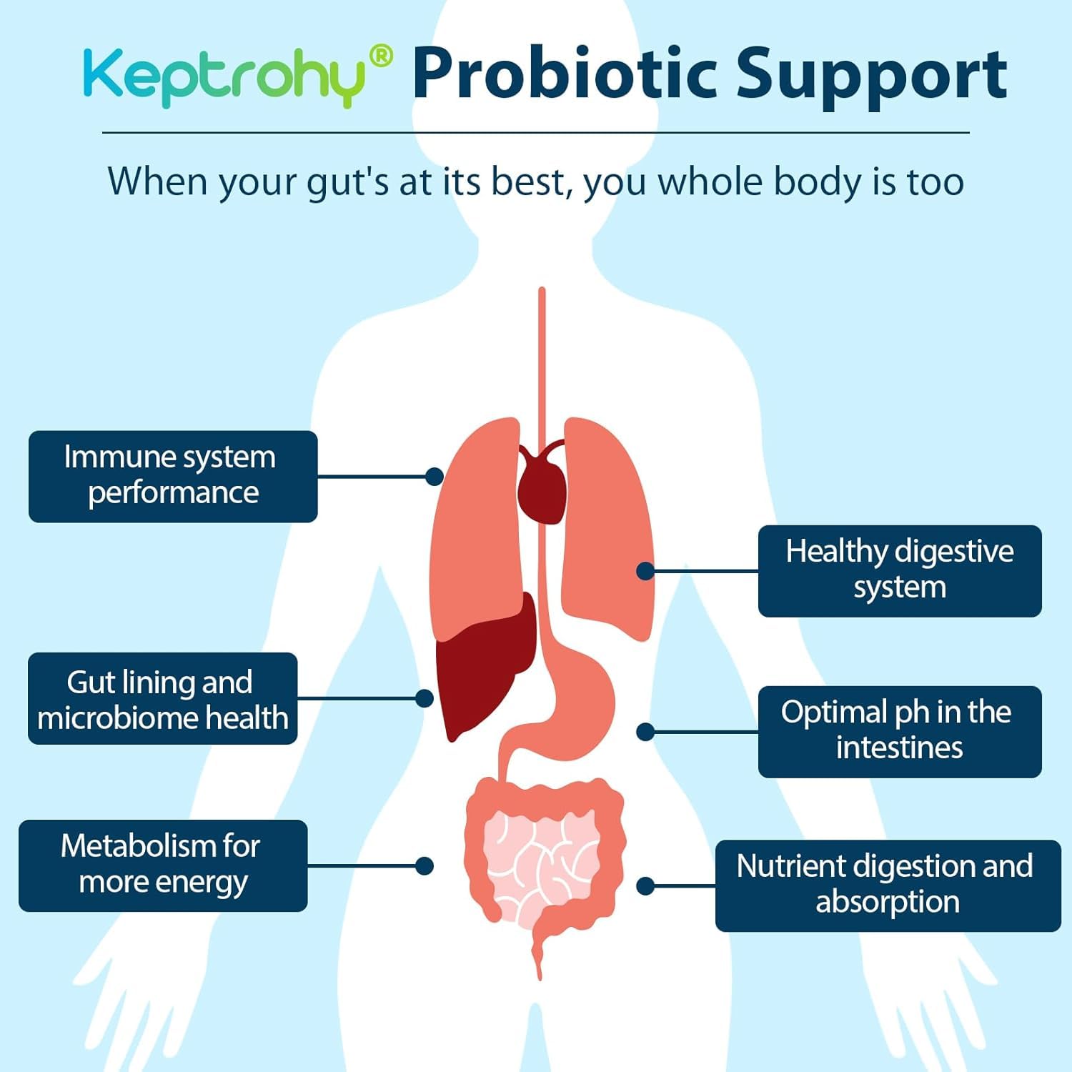 Close-up of Keptrohy Probiotic Supplement capsules