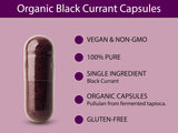 Close-up of KOYAH Black Currant Capsules