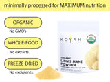 Close-up of KOYAH Organic Lion's Mane Powder texture