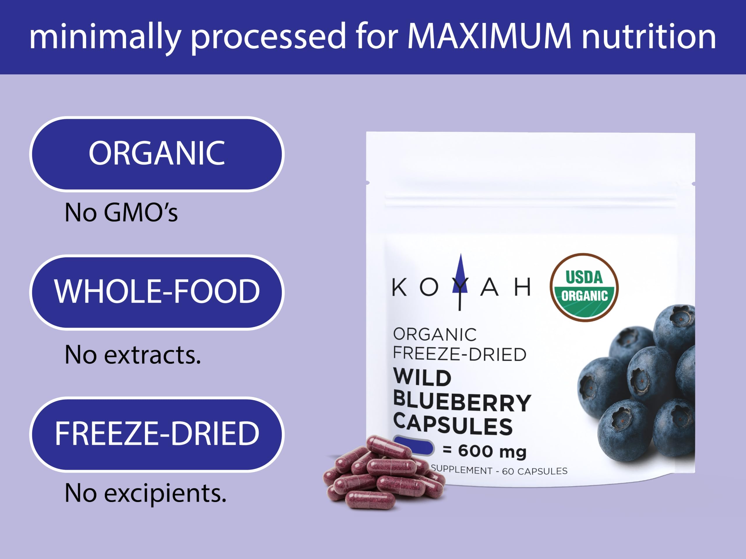 Close-up of KOYAH Wild Blueberry Capsules showing powder