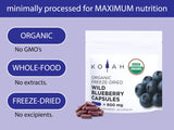 Close-up of KOYAH Wild Blueberry Capsules showing powder