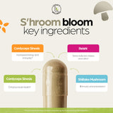 Close-up of LegacyNutra S'HROOM BLOOM mushroom capsules