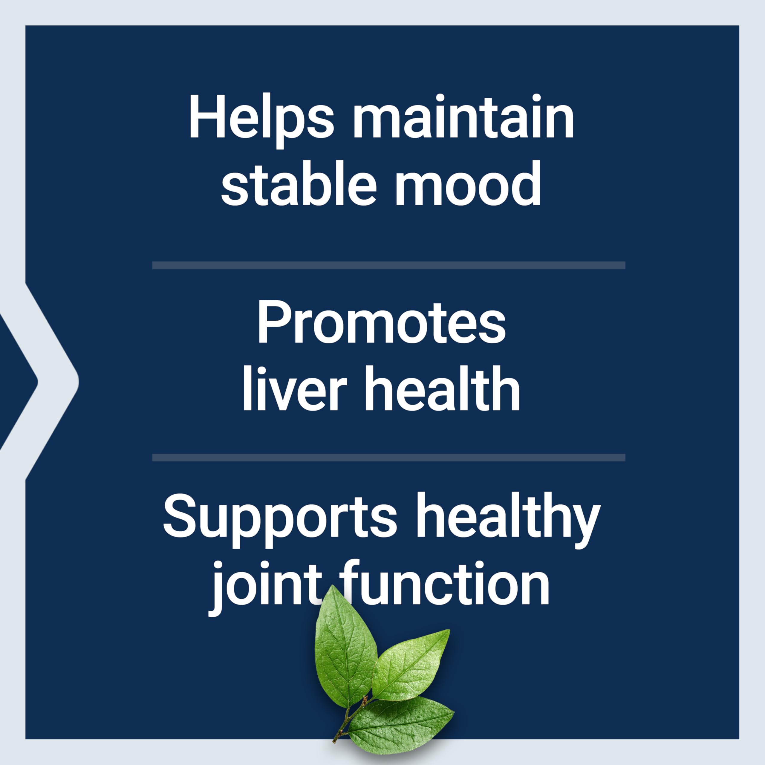Close-up of Life Extension SAMe 400mg enteric-coated tablets