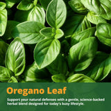 Close-up of LincNutri Oregano Oil Capsules