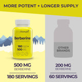 Close-up of LongLifeNutri Berberine HCL 500mg Capsules