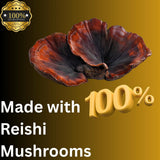 Close-up of Mag Mushrooms Mushroom Supplement bottle cap