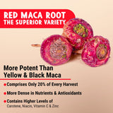 Close-up of Maju Superfoods Organic Maca Root Capsules