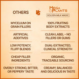 Close-up of MEGAPLANTS Golden Milk Magic powder texture