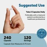 Close-up of Micro Ingredients DHEA Capsules 50mg