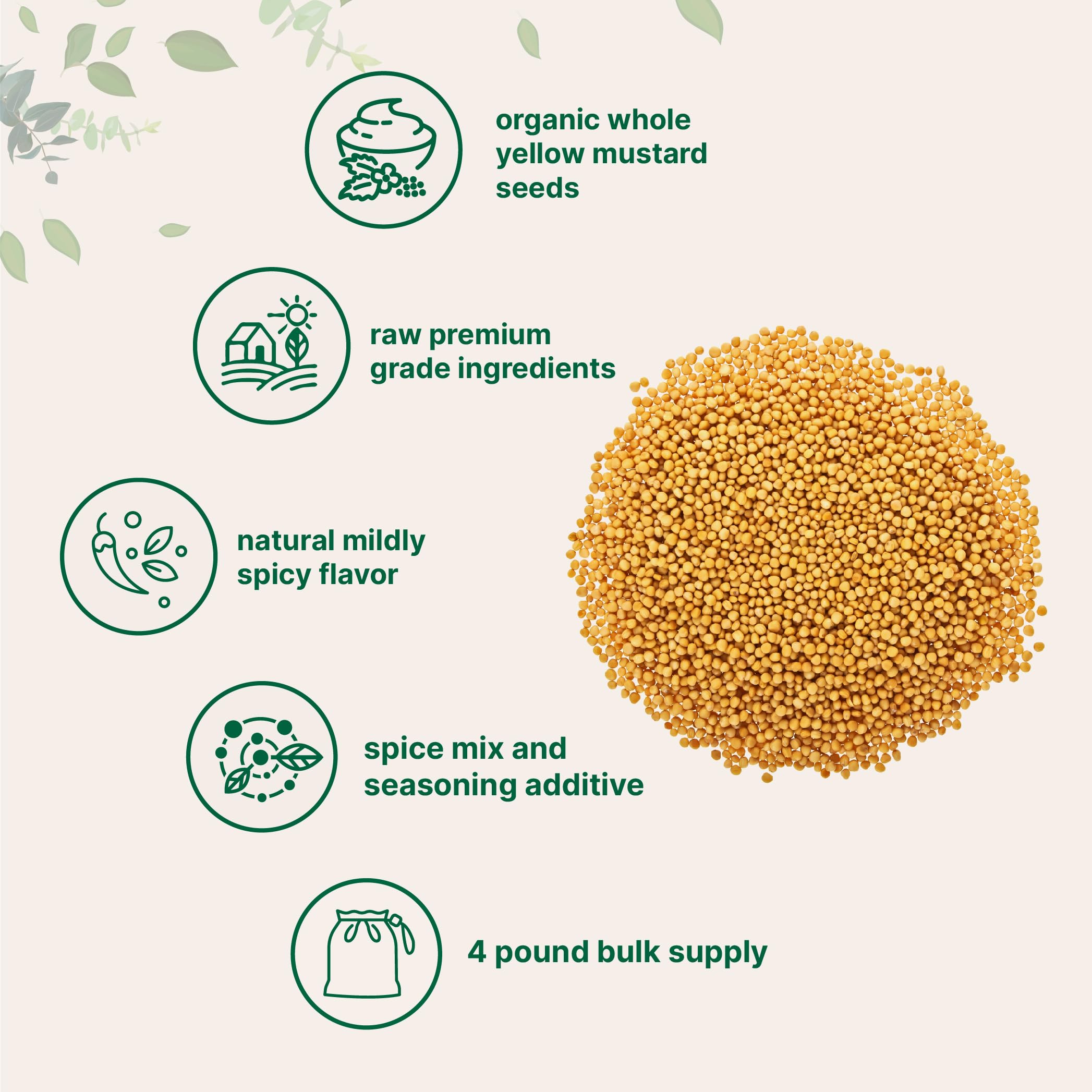 Close-up of Micro Ingredients Organic Whole Yellow Mustard Seeds