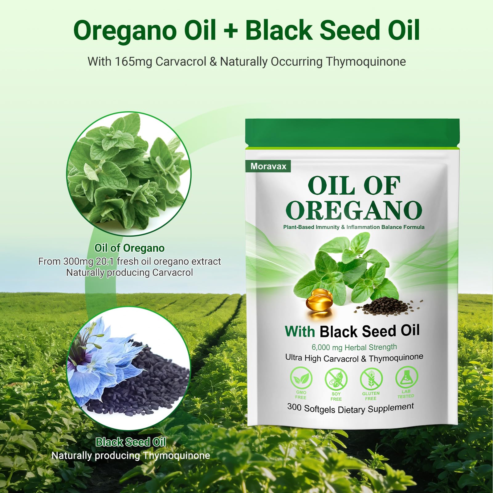 Close-up of Moravax Oregano Oil Softgels capsules