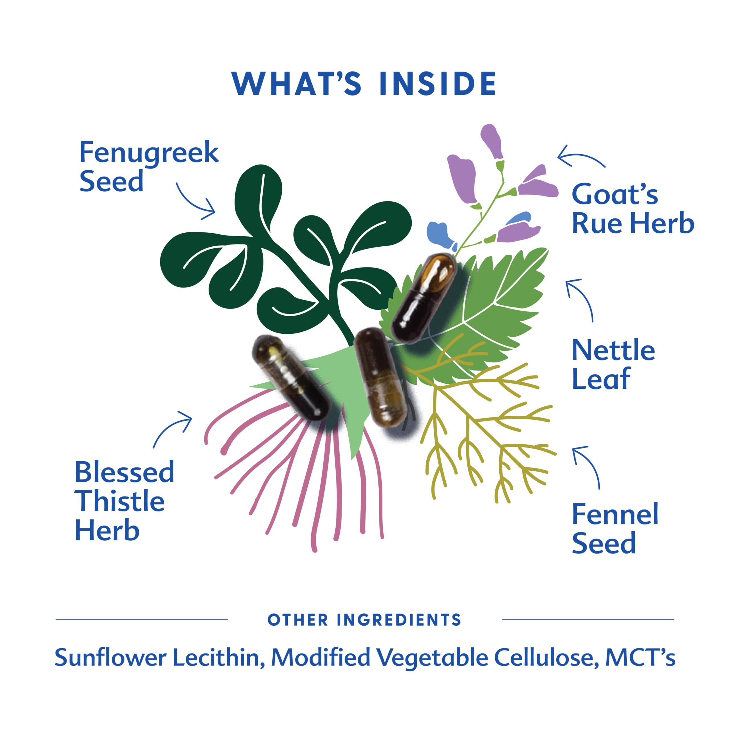 Close-up of Motherlove More Milk Special Blend capsules